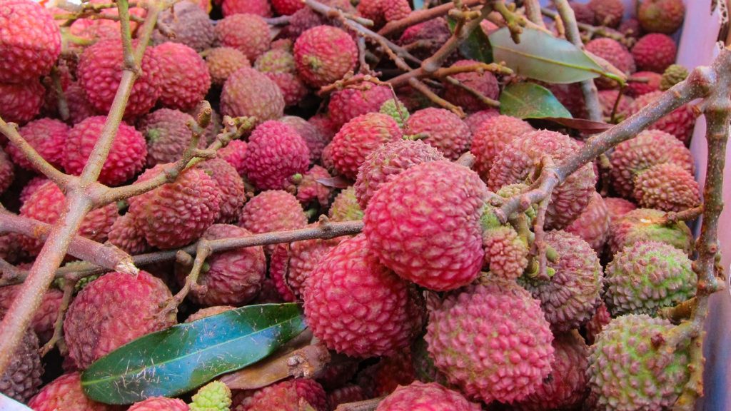 Früchte in Thailand: Litschi
